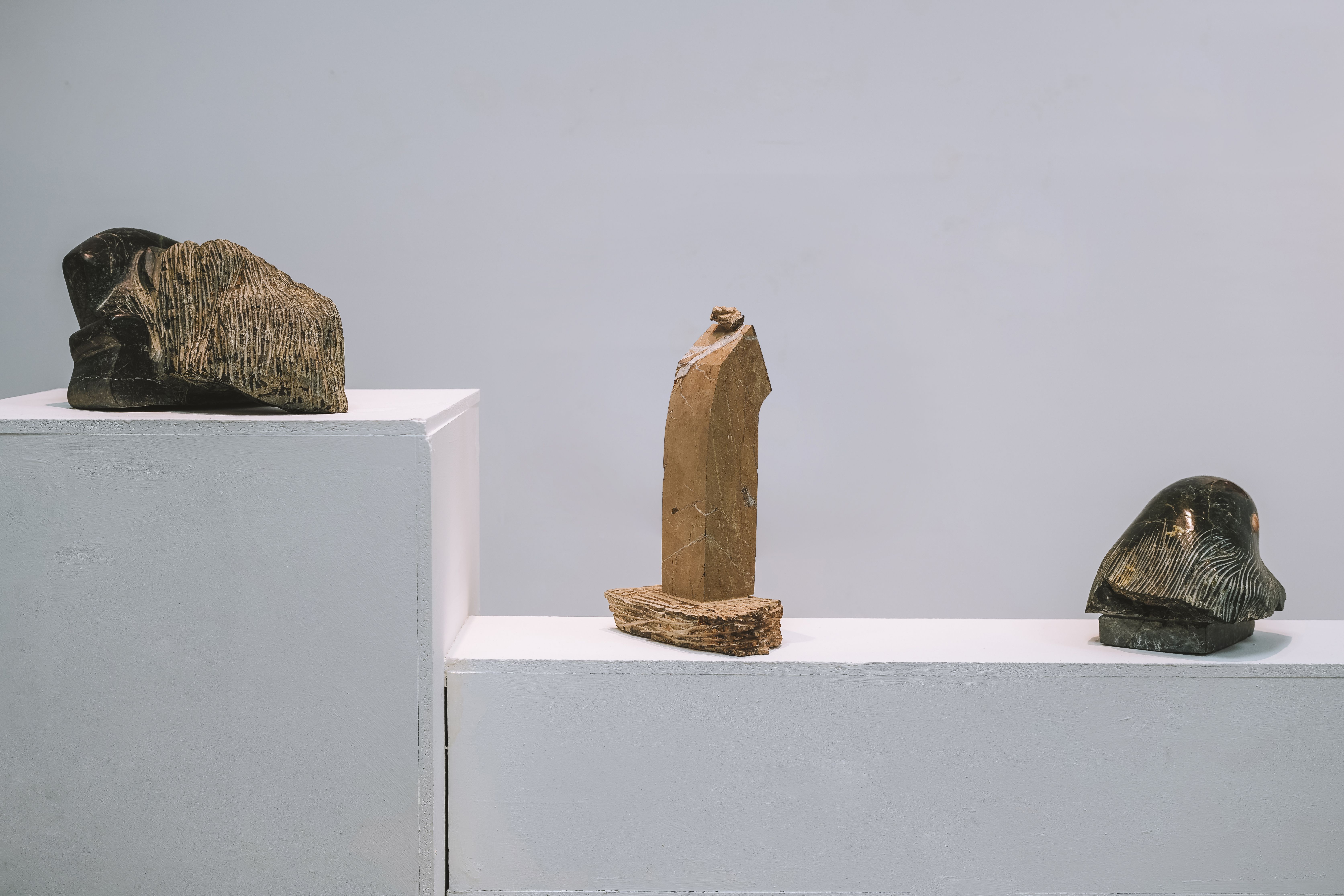 Forma të Heshtura — image 1